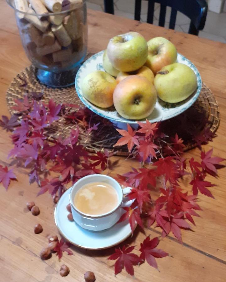 Maison Blanche Cherval 外观 照片