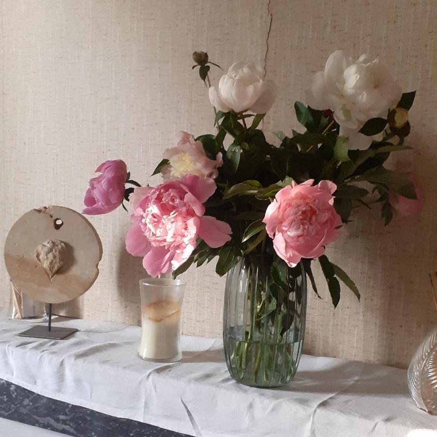 Maison Blanche Cherval 外观 照片